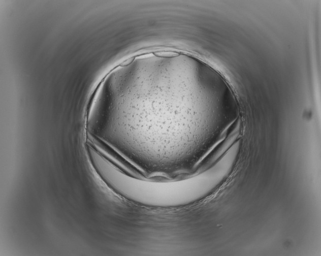 X0000096981524200802291133