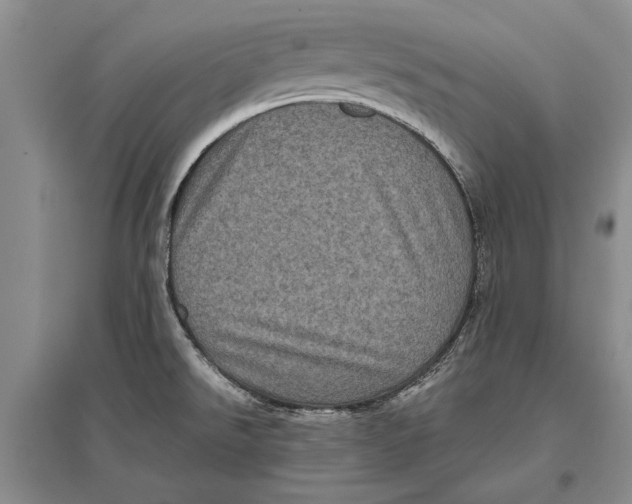 X0000096981526200802291133