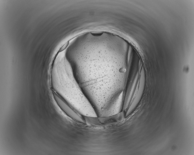 X0000096981528200802291133