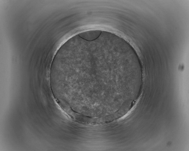 X0000096981529200802291133