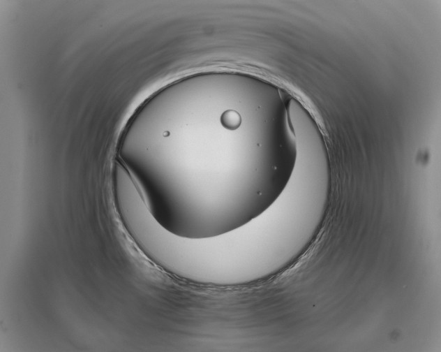 X0000096981530200802291133