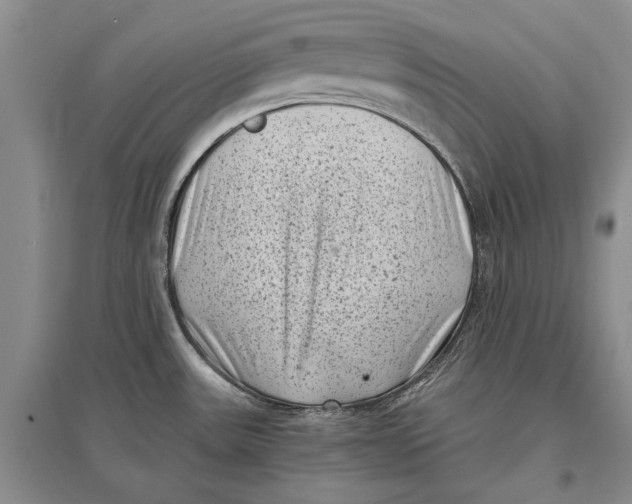 X0000096981531200802291133