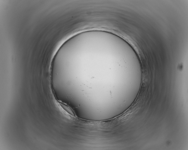 X0000096981532200802291133