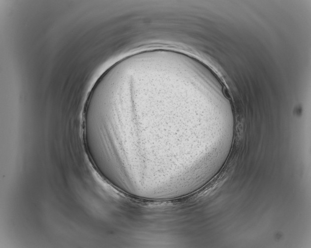 X0000096981535200802291133