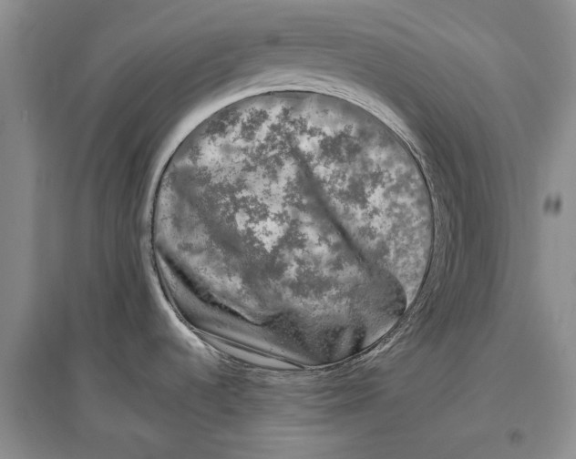 X0000096981536200802291133