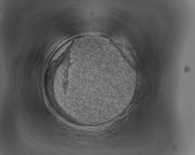 X0000096980001200803071040