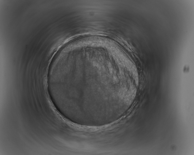 X0000096980002200803071040