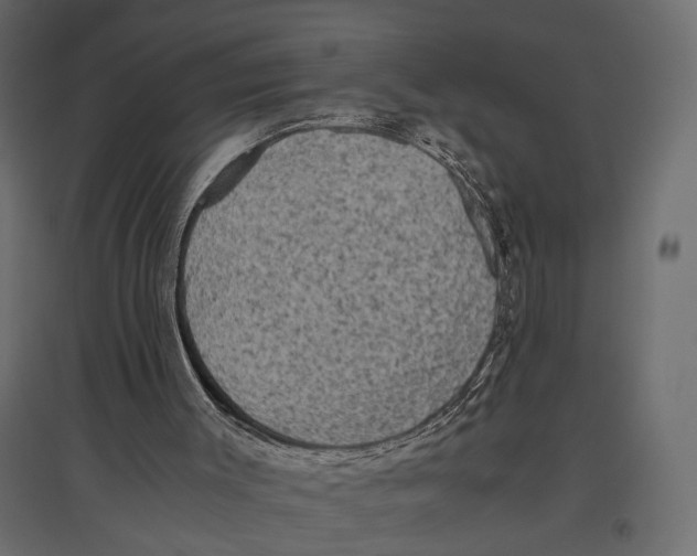 X0000096980003200803071040