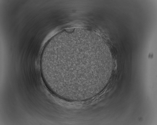 X0000096980004200803071040