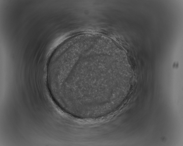 X0000096980005200803071040