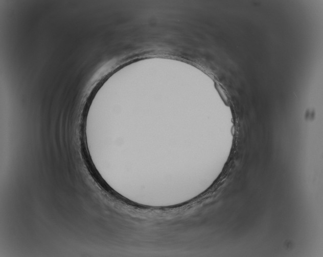 X0000096980007200803071040