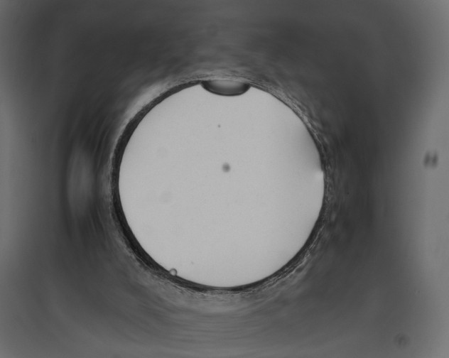 X0000096980008200803071040