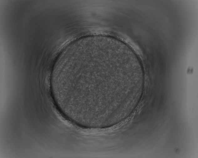 X0000096980009200803071040