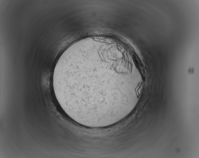 X0000096980010200803071040