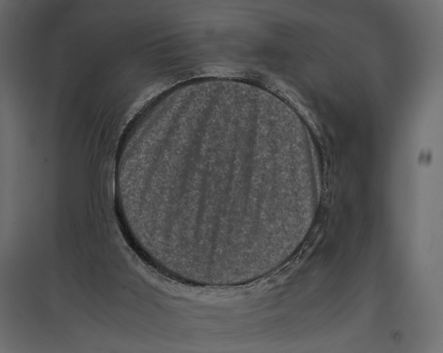 X0000096980011200803071040