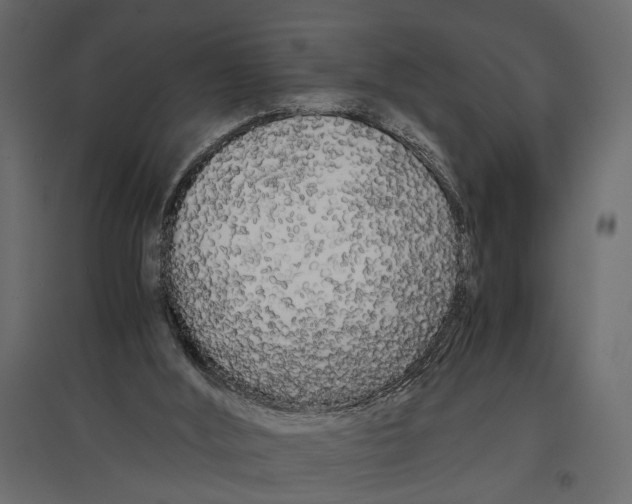 X0000096980012200803071040