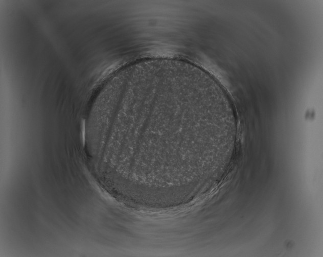 X0000096980013200803071040