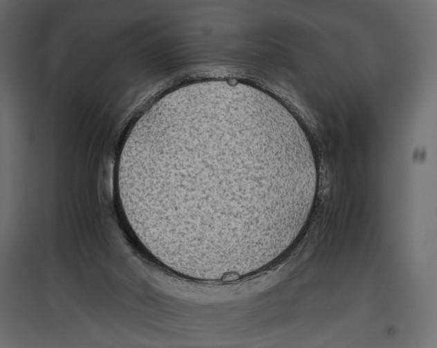 X0000096980014200803071040