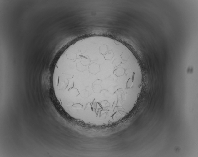 X0000096980016200803071040