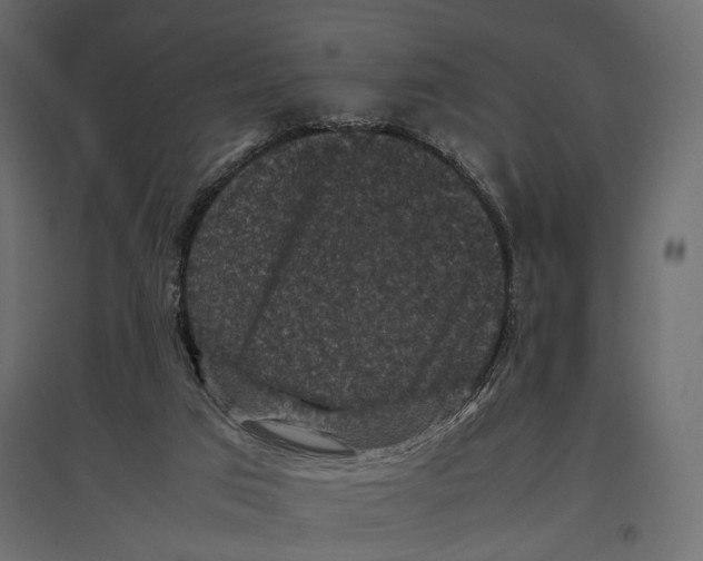 X0000096980017200803071040