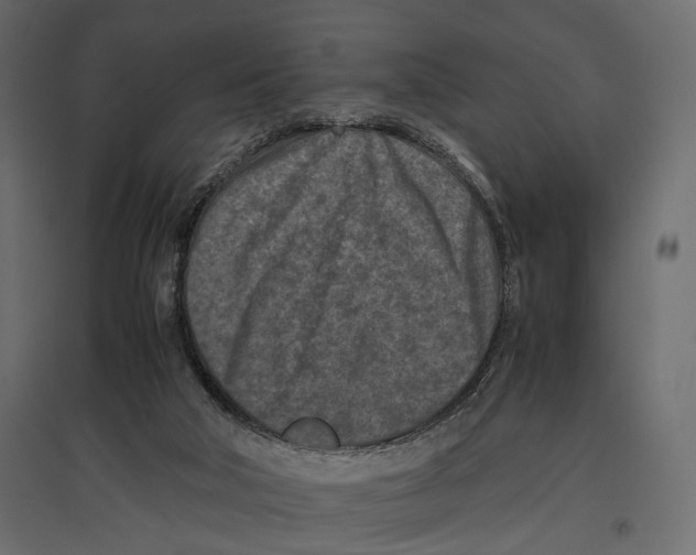 X0000096980018200803071040