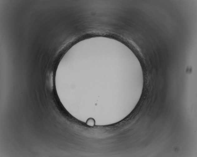 X0000096980020200803071040