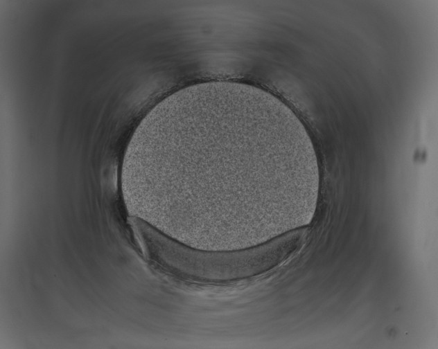 X0000096980021200803071040