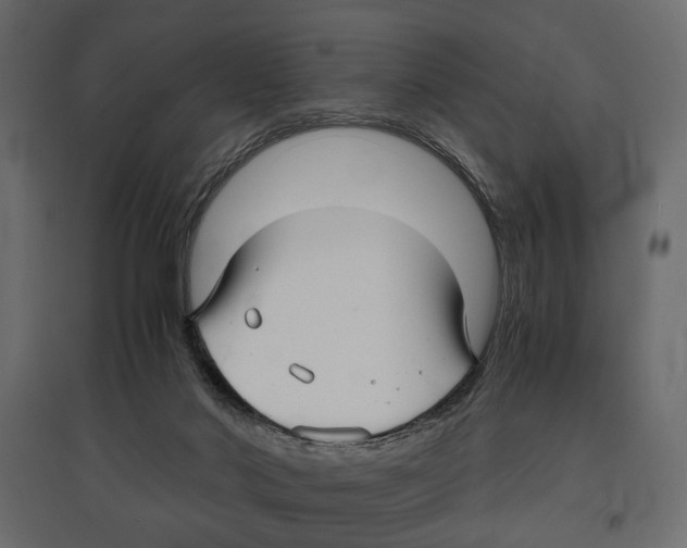 X0000096980022200803071040