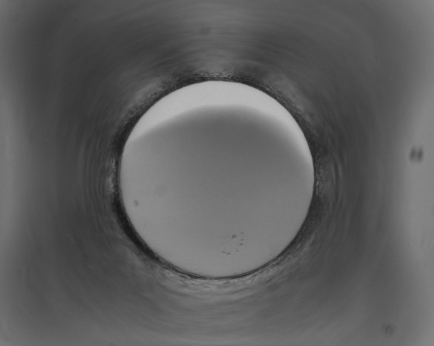 X0000096980023200803071040