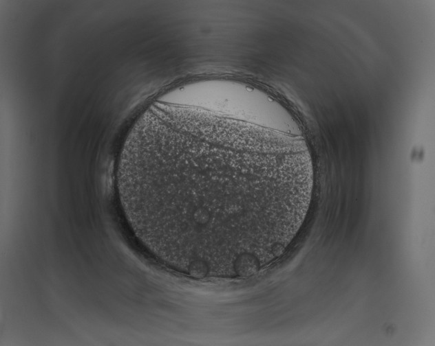 X0000096980024200803071040