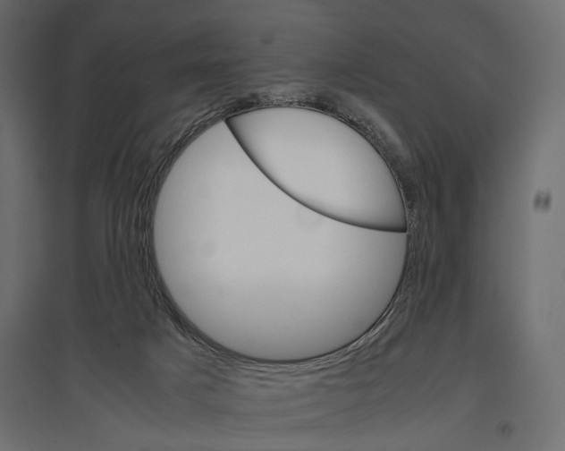 X0000096980025200803071040