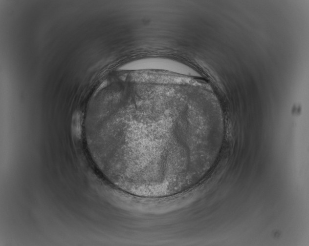 X0000096980026200803071040