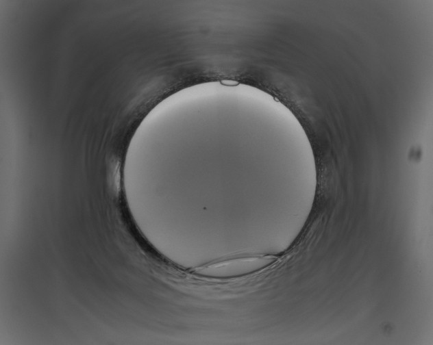 X0000096980027200803071040