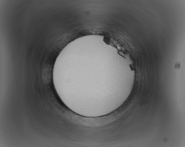 X0000096980030200803071040