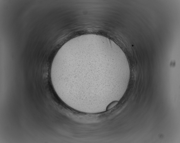 X0000096980032200803071040