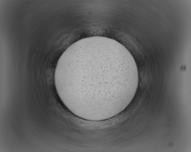 X0000096980034200803071040