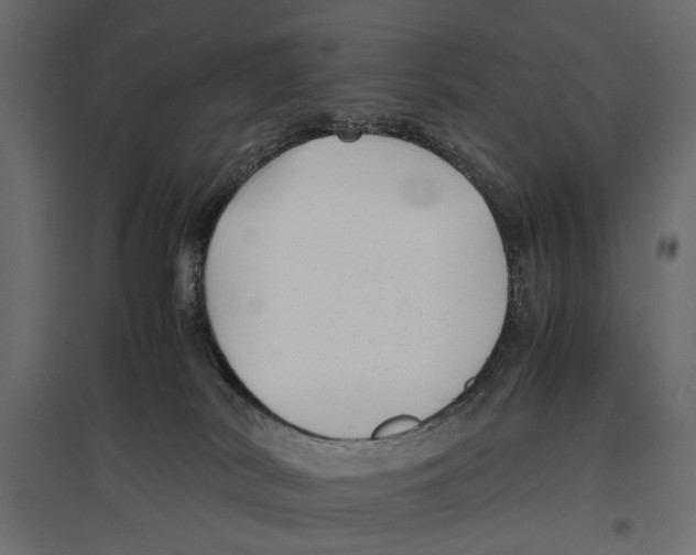 X0000096980038200803071040