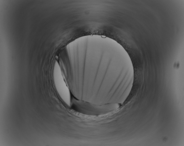 X0000096980039200803071040