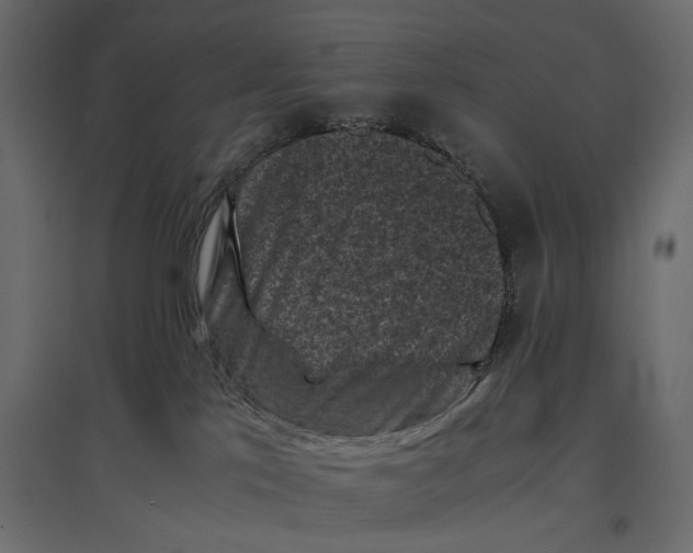 X0000096980041200803071040