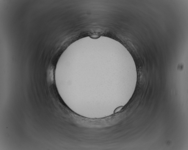 X0000096980042200803071040