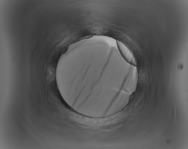 X0000096980043200803071040