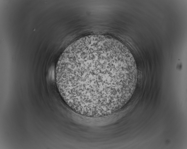 X0000096980046200803071040