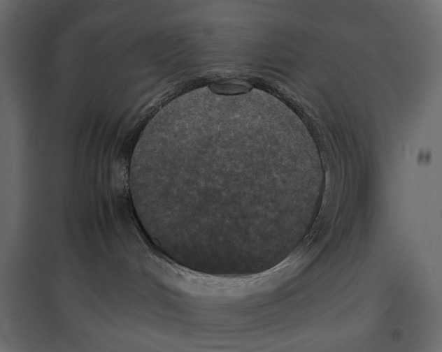 X0000096980048200803071040