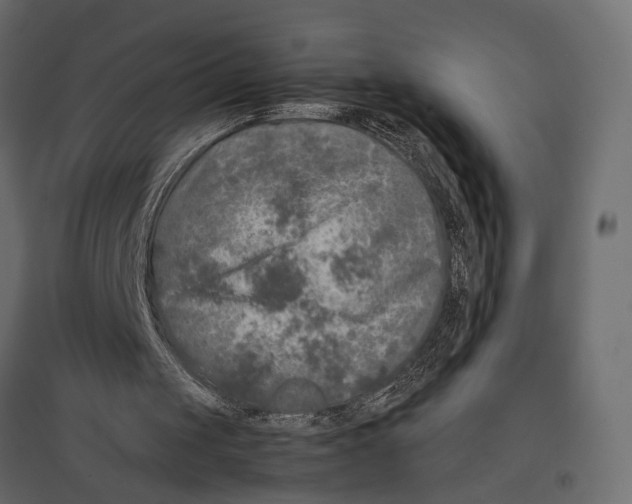 X0000096980049200803071039