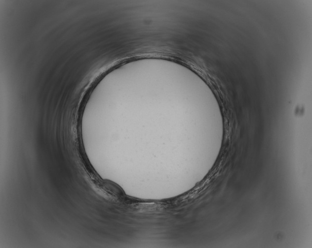 X0000096980050200803071039