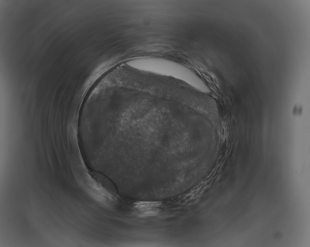 X0000096980051200803071039