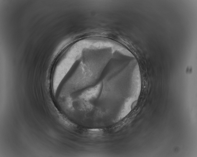 X0000096980053200803071039