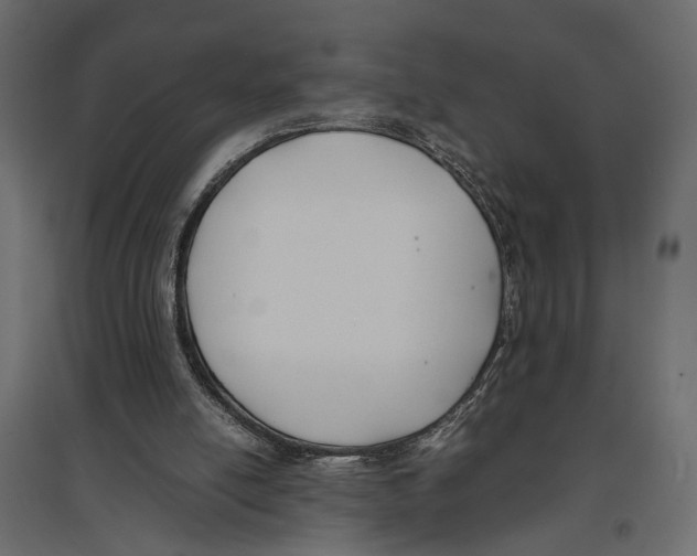 X0000096980054200803071039