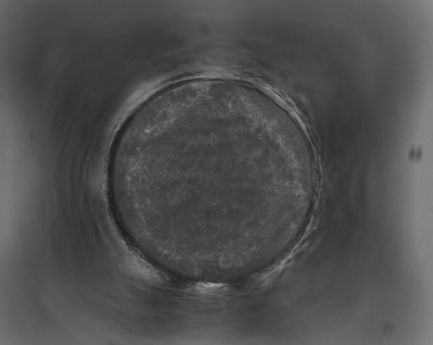 X0000096980055200803071039