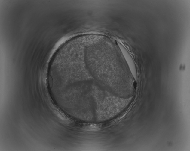 X0000096980056200803071039